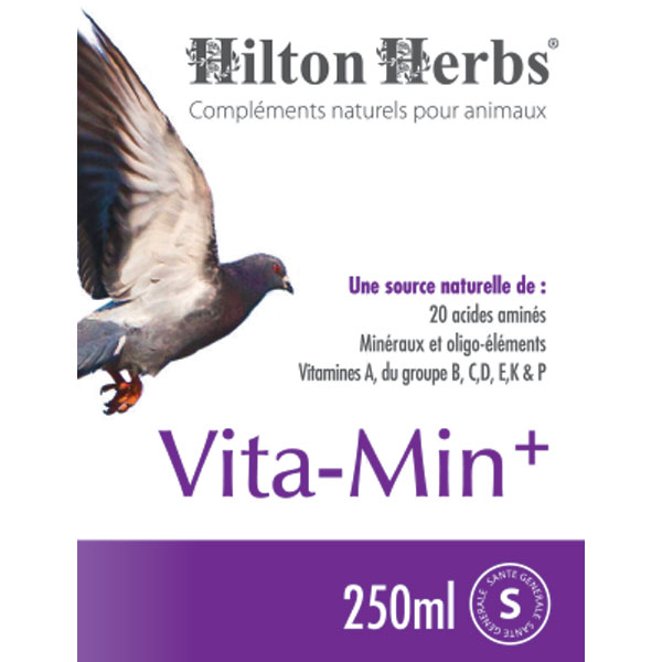 Ingredients de Vitamin Plus de Hilton Herbs